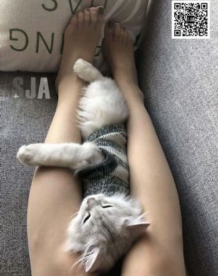 中文字幕一卡二卡三卡四卡免费_西瓜视频免费观看